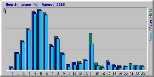 Hourly usage for August 2016